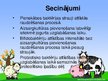 Prezentācija 'Probiotisko baktēriju attīstība piena fermentācijas procesā', 11.