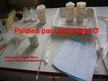 Prezentācija 'Probiotisko baktēriju attīstība piena fermentācijas procesā', 13.