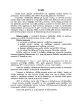 Referāts 'Dzimumu līdztiesība', 3.