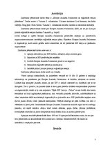 Referāts 'Eiropas Jauniešu parlaments un Latvijas pirmās reģionālās sesijas plānošana', 3.