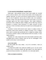 Referāts 'Mūsdienu Eiropas Savienības apvienošanās process', 6.