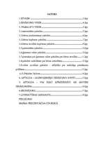 Referāts 'Jauno ģimeņu ienākumu avoti', 1.