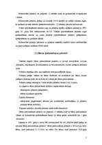 Referāts 'Jauno ģimeņu ienākumu avoti', 5.