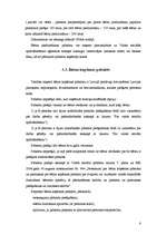 Referāts 'Jauno ģimeņu ienākumu avoti', 6.