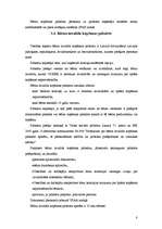 Referāts 'Jauno ģimeņu ienākumu avoti', 8.