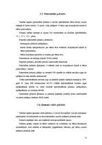 Referāts 'Jauno ģimeņu ienākumu avoti', 10.