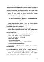 Referāts 'Jauno ģimeņu ienākumu avoti', 13.