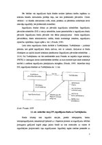 Referāts 'Ieguldījumu fondi Latvijā un ieguldījumu apliecību kotēšana', 5.