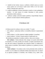 Referāts 'Zaudējumi', 6.