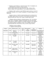 Paraugs 'Tūrisma maršruts Baltinava - Ančipova', 2.