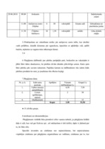 Paraugs 'Tūrisma maršruts Baltinava - Ančipova', 3.