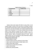 Biznesa plāns 'Uzņēmums SIA "Pērle"', 5.