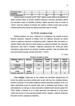 Biznesa plāns 'Uzņēmums SIA "Pērle"', 12.