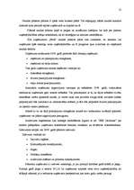 Biznesa plāns 'Uzņēmums SIA "Pērle"', 21.