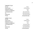 Biznesa plāns 'Uzņēmums SIA "Pērle"', 25.