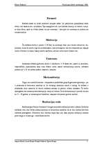 Referāts 'Reklāma zīmola radīšanai', 7.