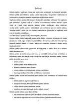 Referāts 'Uzņēmuma debitoru vadība un analīze', 7.