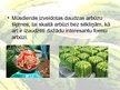 Prezentācija 'Arbūzi un melones', 3.