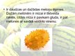 Prezentācija 'Arbūzi un melones', 7.