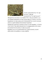 Diplomdarbs 'Dokumentālā kino attīstība Latvijā', 28.