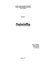Referāts 'Greizsirdība', 1.