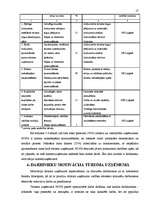 Biznesa plāns 'SIA "Nova"', 17.