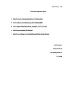 Eseja 'Latvija spēj palīdzēt Gruzijai. Attīstības sadarbība', 3.