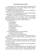 Referāts 'Latvijas pārvadājumu tirgus', 5.