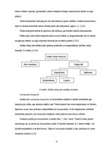 Referāts 'Latvijas pārvadājumu tirgus', 13.