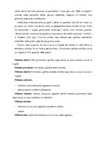 Diplomdarbs 'Pirmsskolas izglītības attīstība Latvijā un Latgalē no 1755. līdz 2006.gadam', 5.