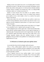 Diplomdarbs 'Pirmsskolas izglītības attīstība Latvijā un Latgalē no 1755. līdz 2006.gadam', 31.
