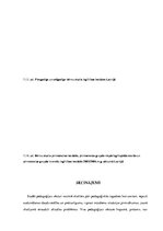 Diplomdarbs 'Pirmsskolas izglītības attīstība Latvijā un Latgalē no 1755. līdz 2006.gadam', 78.