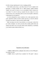 Diplomdarbs 'Pirmsskolas izglītības attīstība Latvijā un Latgalē no 1755. līdz 2006.gadam', 81.