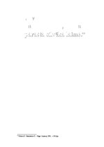 Referāts 'Vides vizuālā reklāma Latvijā', 4.