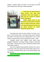 Referāts 'Vides vizuālā reklāma Latvijā', 20.