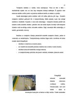 Referāts 'Vides vizuālā reklāma Latvijā', 25.