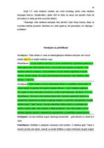 Referāts 'Vides vizuālā reklāma Latvijā', 39.