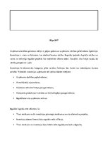 Referāts 'Uzņēmuma investīciju projekta īstenošanas nozīme', 2.