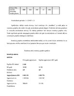 Referāts 'Uzņēmuma investīciju projekta īstenošanas nozīme', 8.