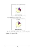 Referāts 'Datorspēļu izraisītā agresija', 21.