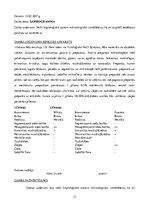 Prakses atskaite 'Klīniskās izmeklēšanas metodes', 13.