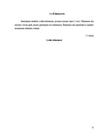 Referāts 'Ēdināšanas uzņēmuma tehnoloģiskais projekts', 10.
