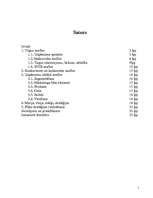 Referāts 'Mārketinga plāns uzņēmumam', 1.