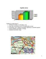 Referāts 'Mārketinga plāns uzņēmumam', 5.