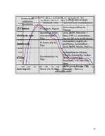 Referāts 'Mārketinga plāns uzņēmumam', 13.