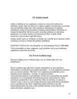 Referāts 'Mārketinga plāns uzņēmumam', 16.