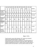 Referāts 'Mārketinga plāns uzņēmumam', 19.