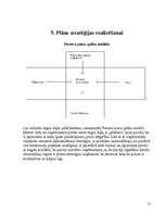 Referāts 'Mārketinga plāns uzņēmumam', 21.