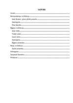 Referāts 'Senās civilizācijas un to monumentālās celtnes', 2.