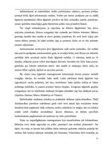 Referāts 'Senās civilizācijas un to monumentālās celtnes', 17.